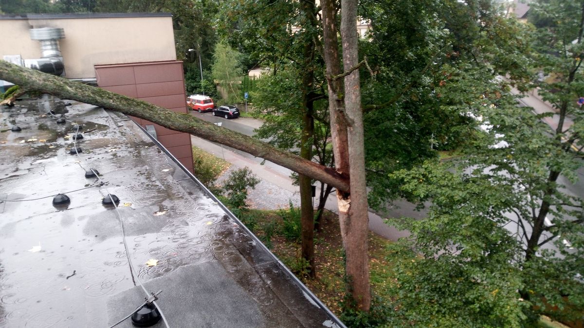 Vítr se prohnal Náchodskem. Na střechu pivovaru spadl strom