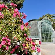 Zámecký skleník láká na exotickou flóru.