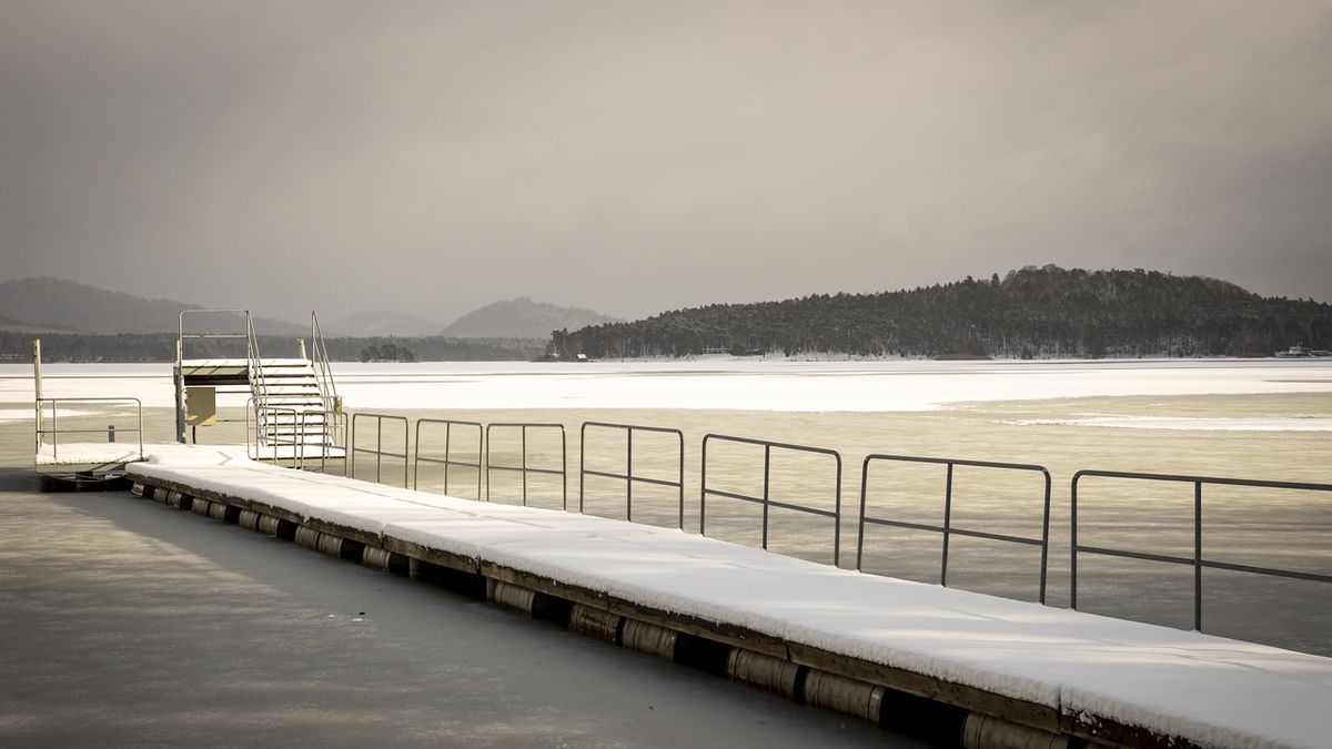Zamrzlé Máchovo jezero (snímek ze 14. ledna)