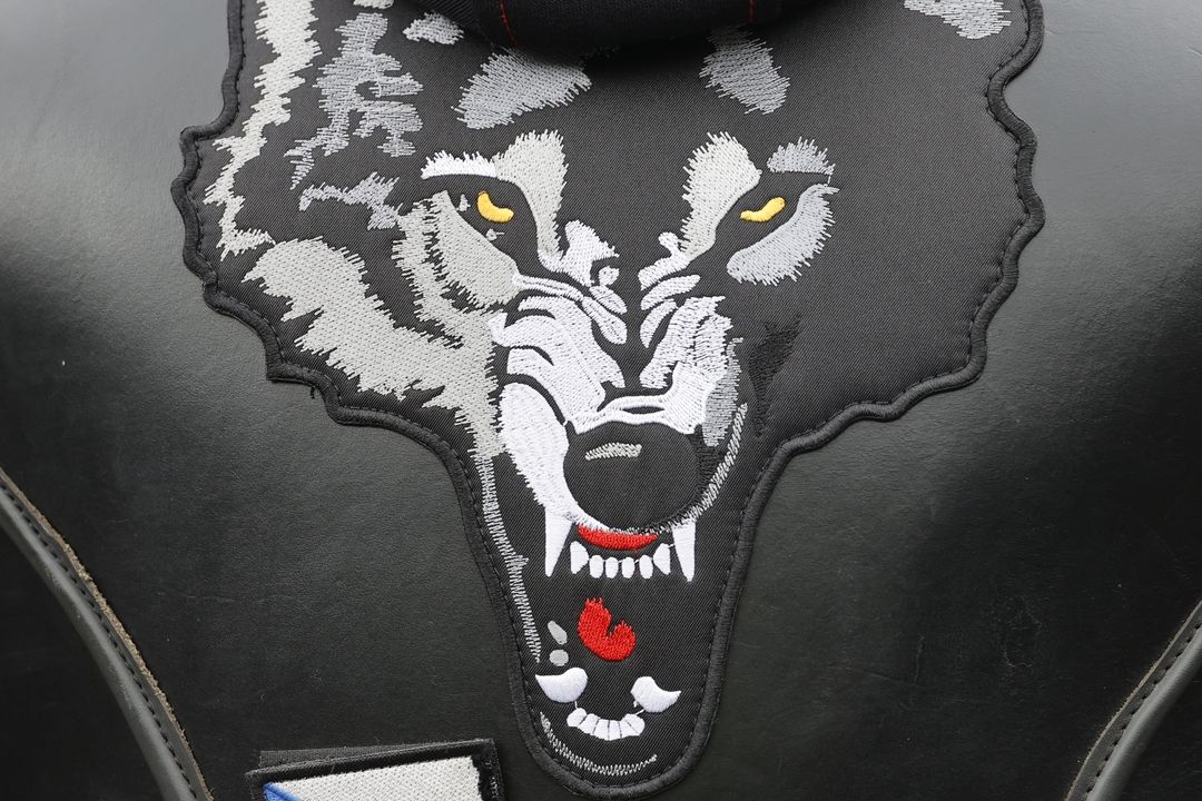 Noční vlci jsou kontroverzní ruský nacionalistický motorkářský klub.