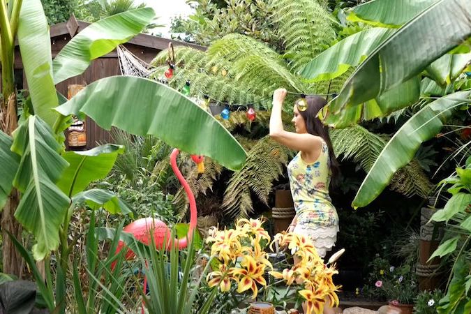 BEZ KOMENTÁŘE: Britka má doma přes 250 tropických rostlin