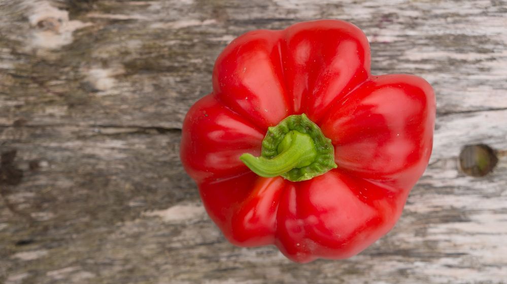 Není paprika jako paprika, miliony semínek odpočívají v genetické bance
