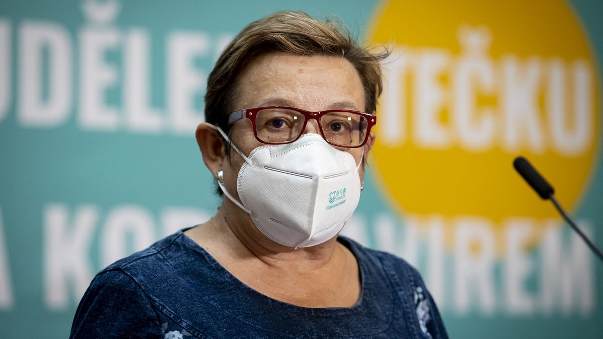 Hygienici plánují na úvod listopadu kontrolní akce na území celého Česka