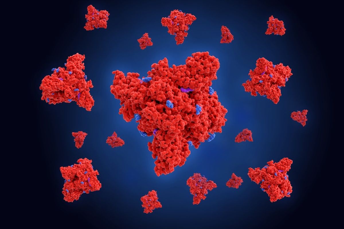 Ilustrační snímek (molekuly N-proteinu vyznačeny modře)