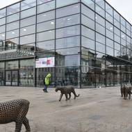 Další z děl Michala Gabriela, sousoší Smečka u kulturního centra UFFO v Trutnově.