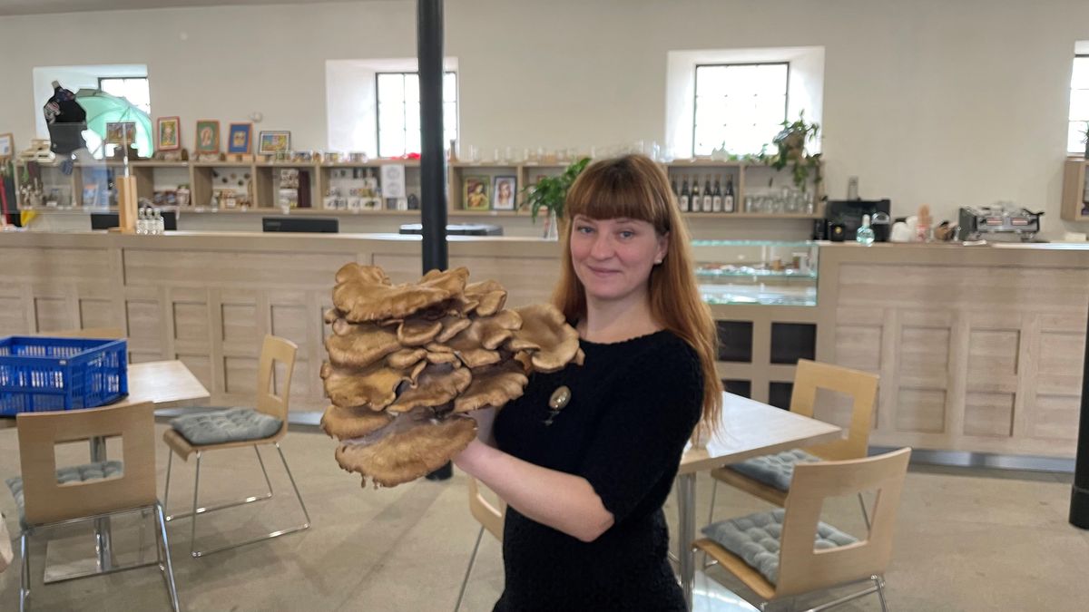 Mykoložka z Ukrajiny učí lidi v okolí Telče sbírat houby celý rok
