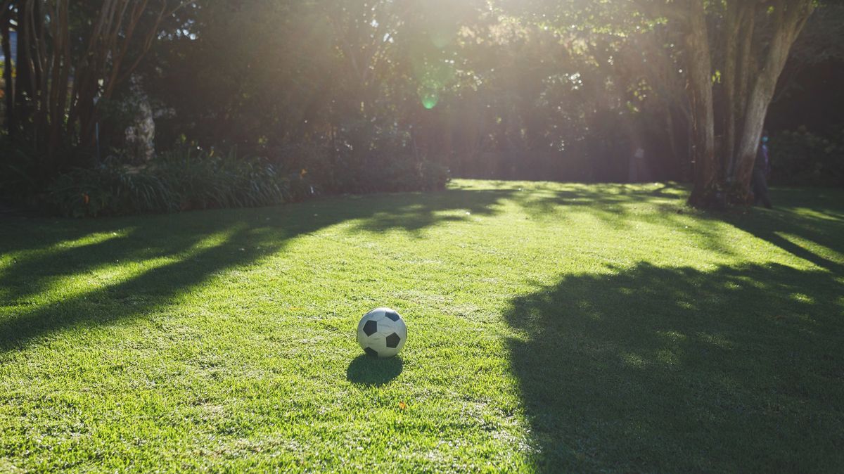 Kluk překopl míč na sousední zahradu, jeho otce to zatím stálo 1,8 milionu