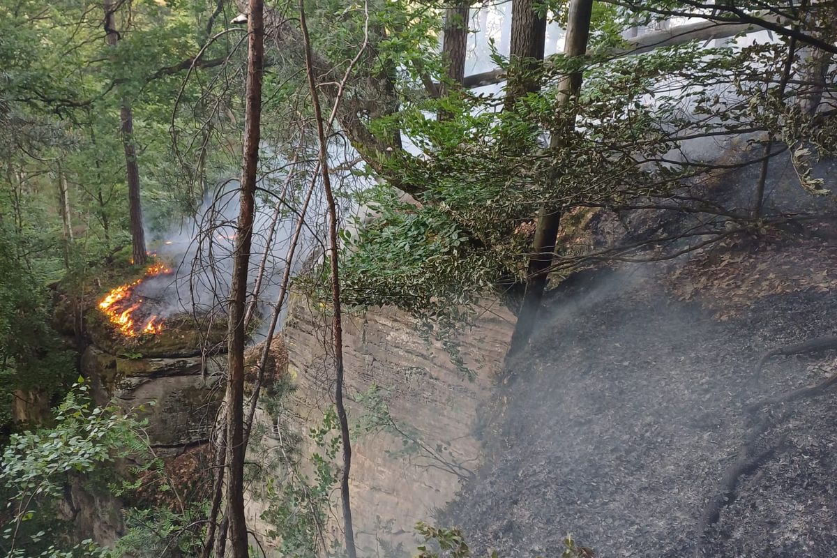 Hoří les na Mladoboleslavsku, kvůli obtížnému terénu a tmě se muselo hašení ukončit