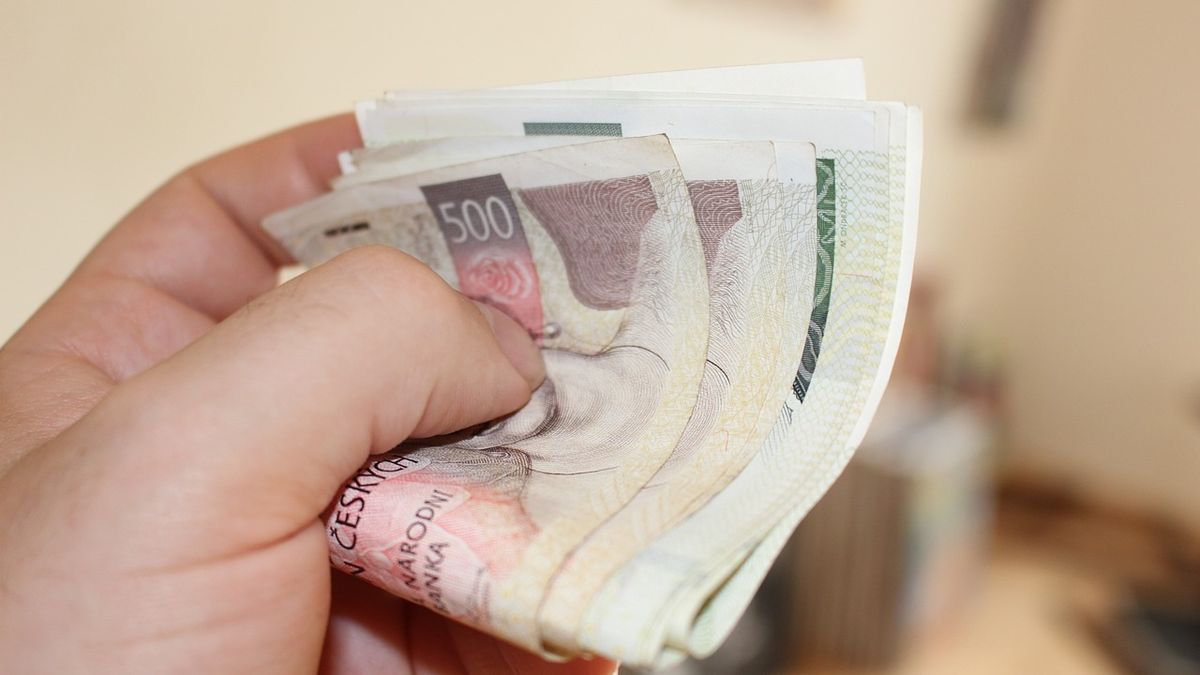 Ukrajinka vysávala solidární dávky, zneužila totožnost svých krajanů