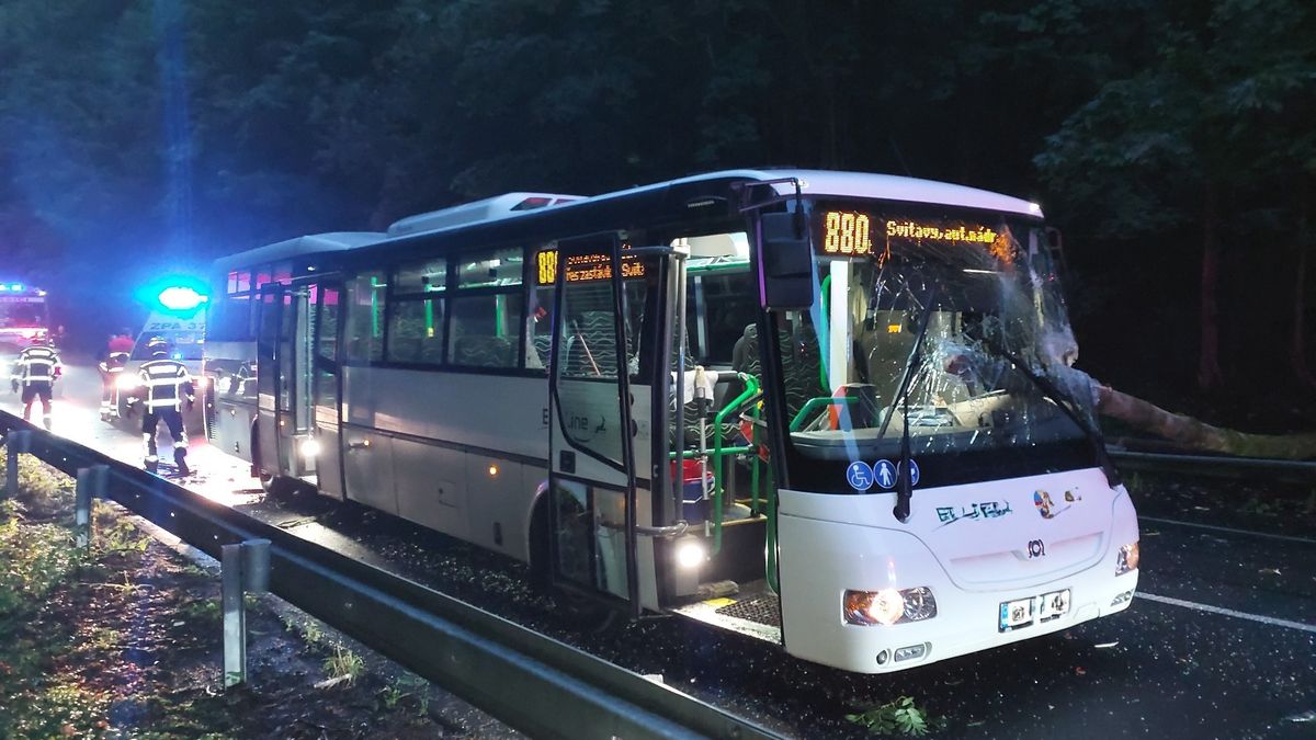 Na autobus na Svitavsku spadl strom, řidič je zraněný