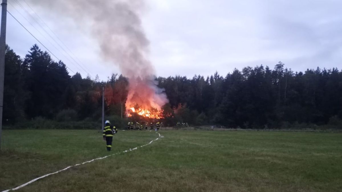 Část rotvajlerů se po požáru domu na Jindřichohradecku rozutekla po okolí. Jedno zvíře utratili