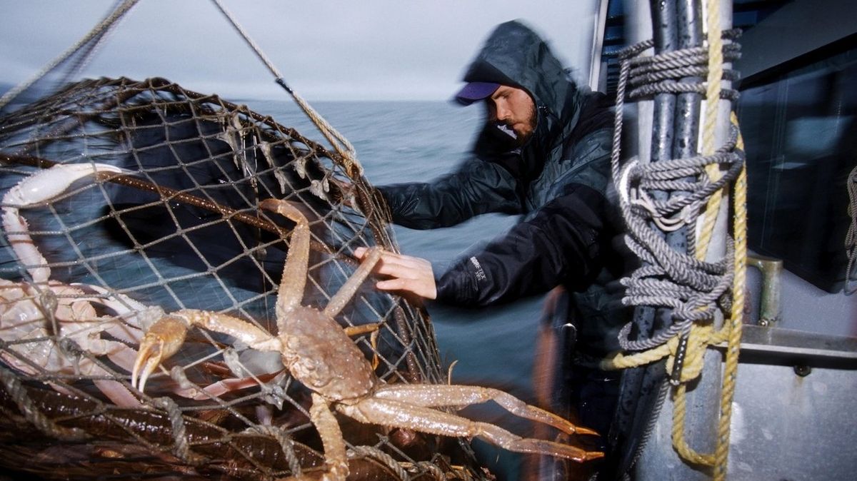 Práce lovců krabů je považována za jednu z nejnebezpečnějších prací vůbec. Ilustrační foto