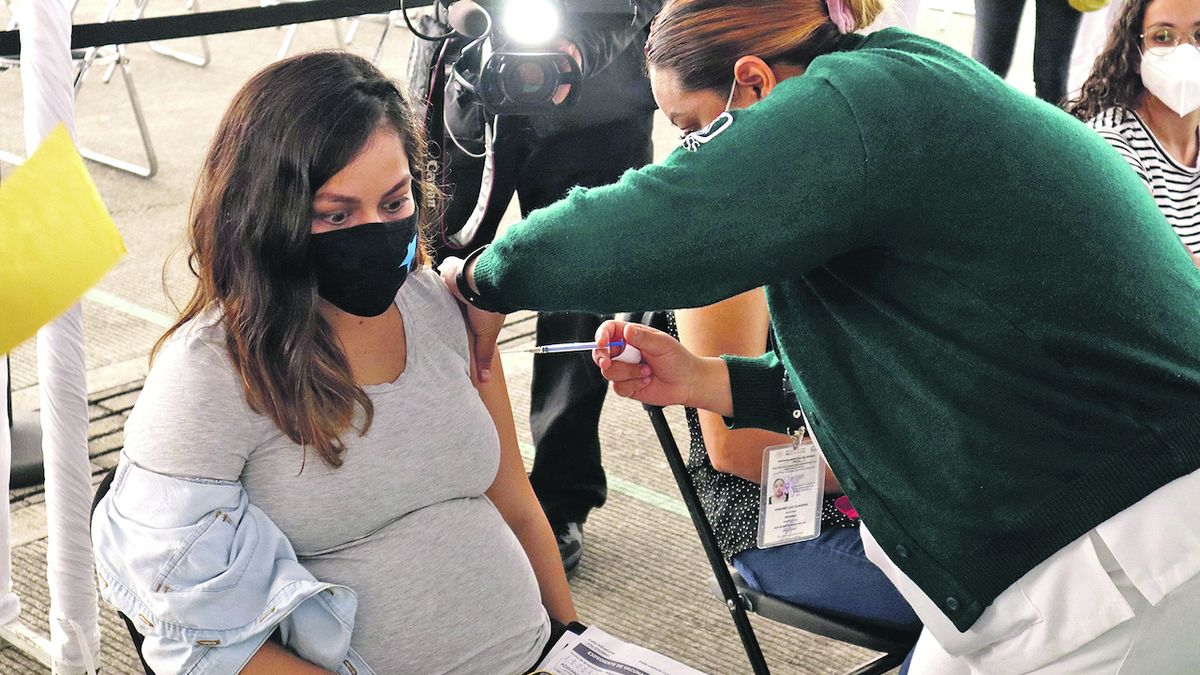 Těhotné se k očkování zaregistrují, ale vakcínu dostanou jen některé