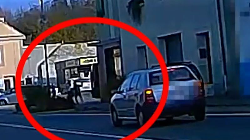 Policie zveřejnila video s útokem psa, který pokousal 11letého chlapce