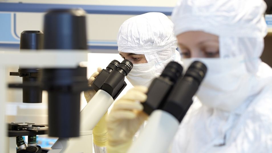 PPF dala biotechnologické firmě přes 7 miliard na vývoj léčby nádorů