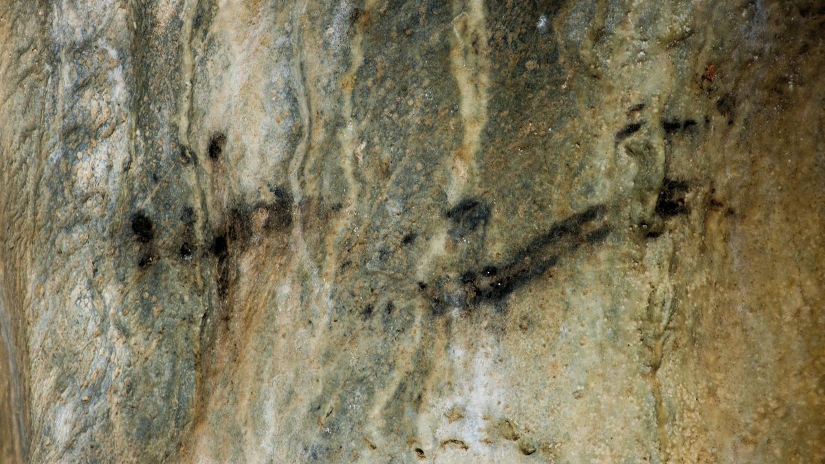 Nález třinácti podivných obrazců zařadil Kateřinskou jeskyni mezi významné archeologické lokality