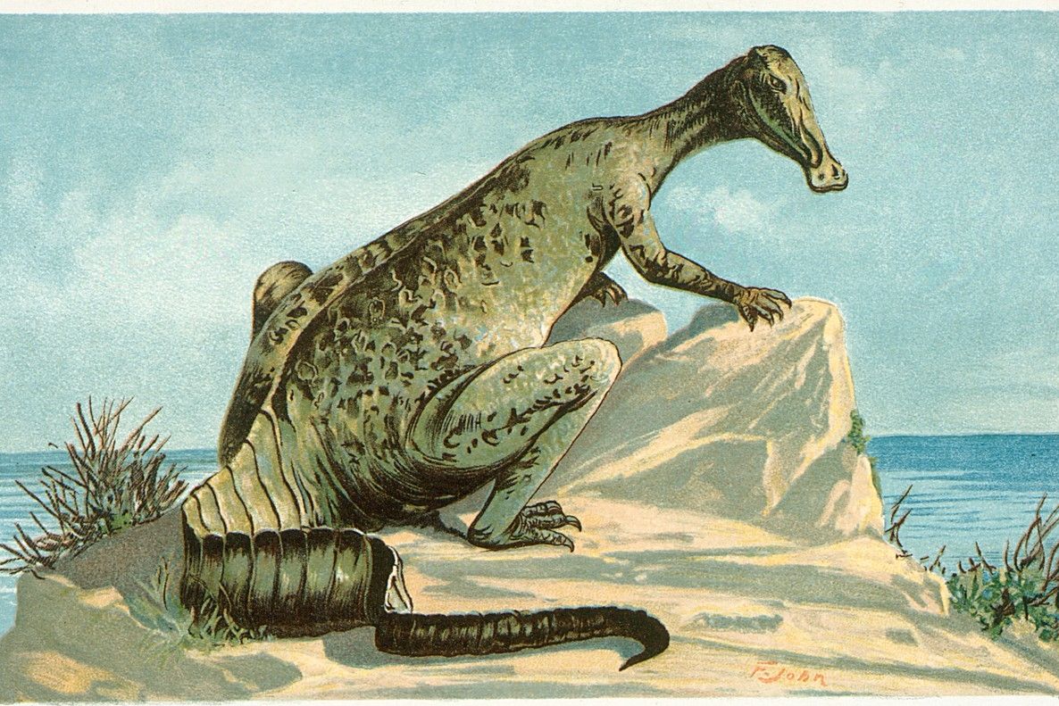 Hadrosaurus byl schopen běhat po dvou nohách, ale mohl zřejmě také chodit po čtyřech. Jako všichni kachnozobí dinosauři byl býložravý a žil ve stádech.