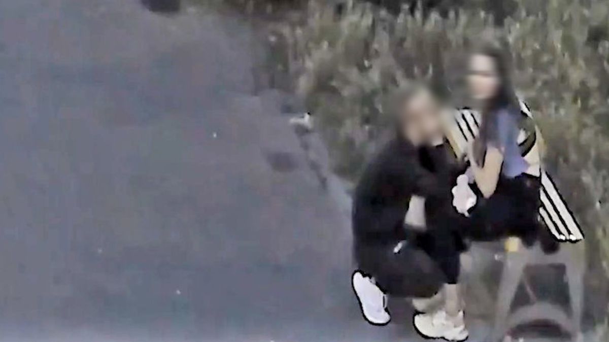 Policie zveřejnila video s dvojicí, kterou hledá kvůli poničení Karlova mostu