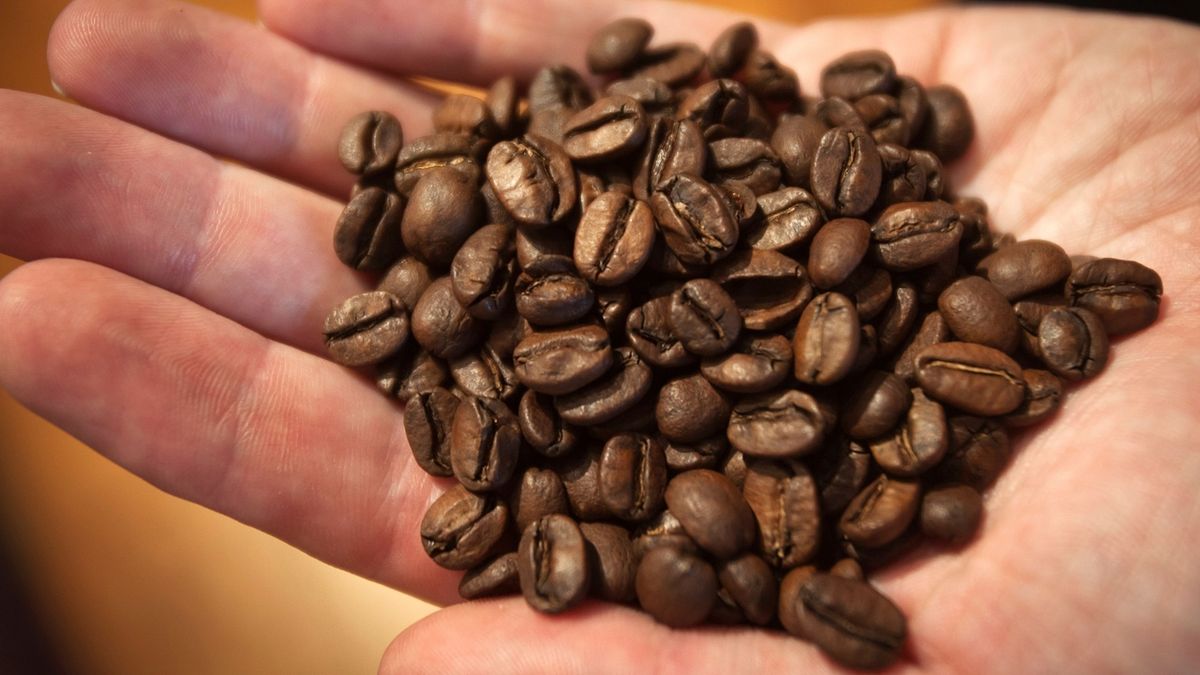 KVÍZ: Zbožňujete kávu? Jak moc se v ní vyznáte?