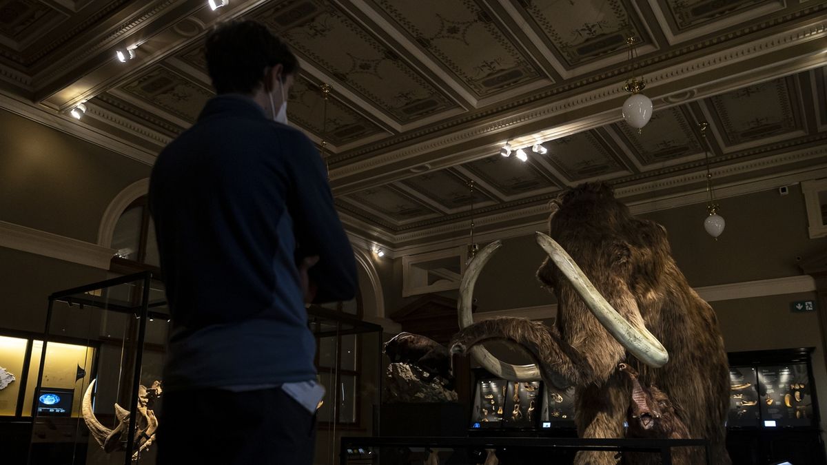 FOTO: Národní muzeum otevřelo velkou expozici věnovanou pravěku