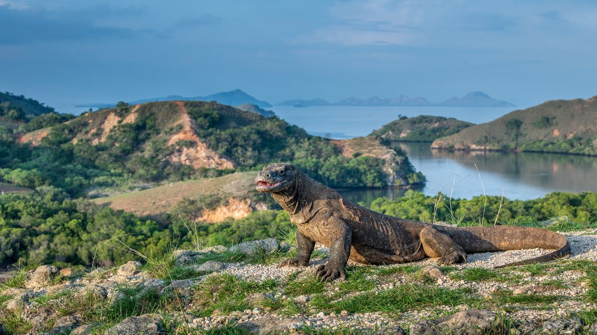 FOTO: Národní park Komodo nabízí víc než jen draky