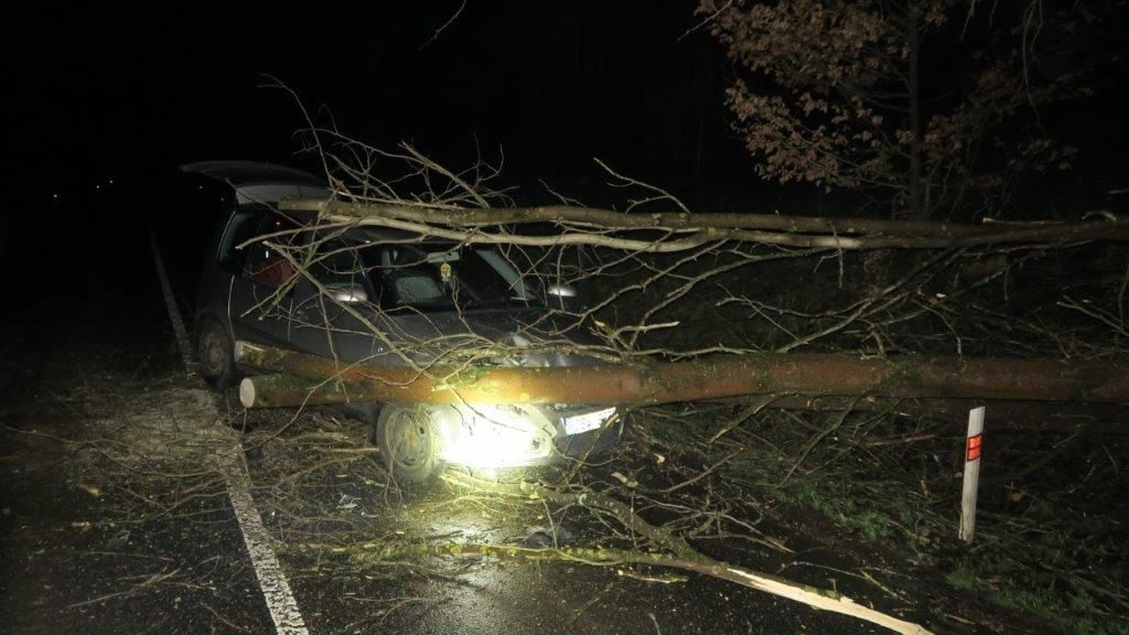 Vítr strhl na auto na Českolipsku strom. Řidička zabránila neštěstí