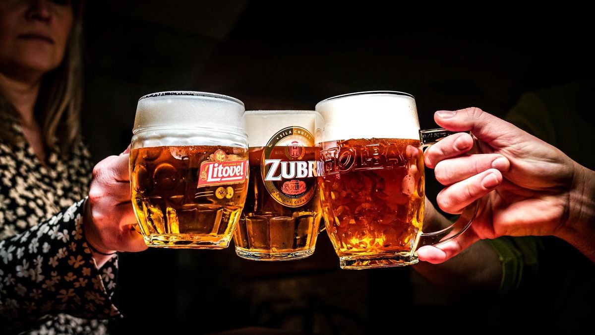 Pivovary Holba, Litovel a Zubr dosáhly loni nejvyššího výstavu piva za posledních 15 let