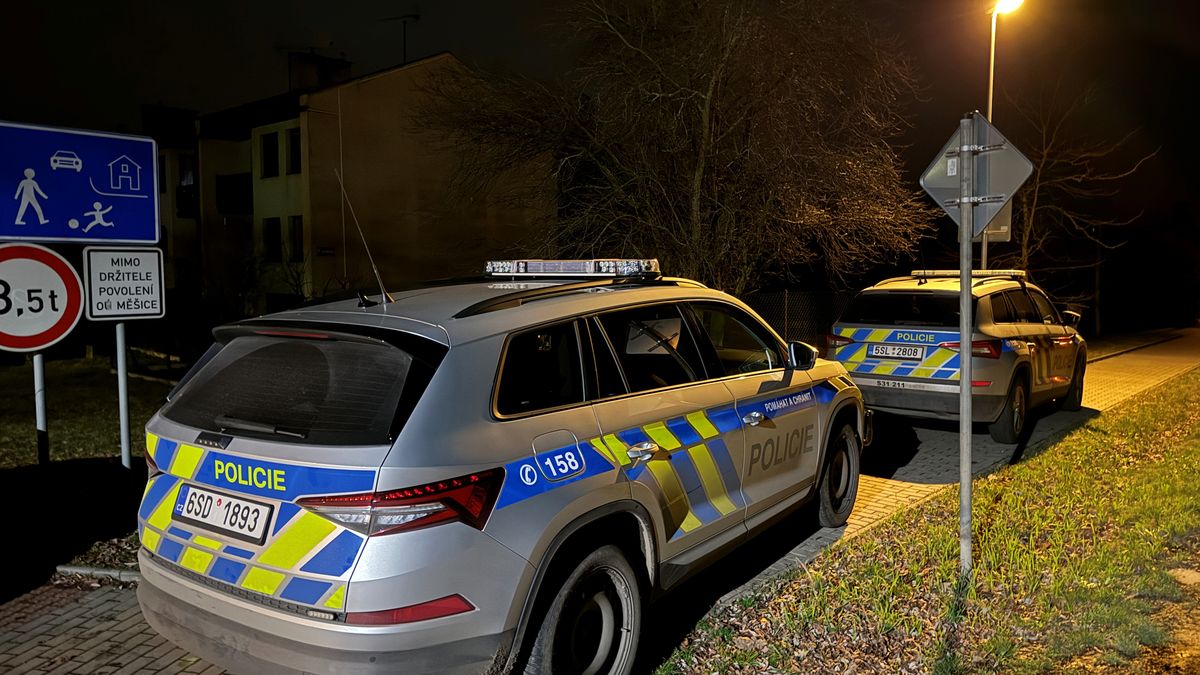 Mladík vystřelil u Prahy do hrudníku jiného muže