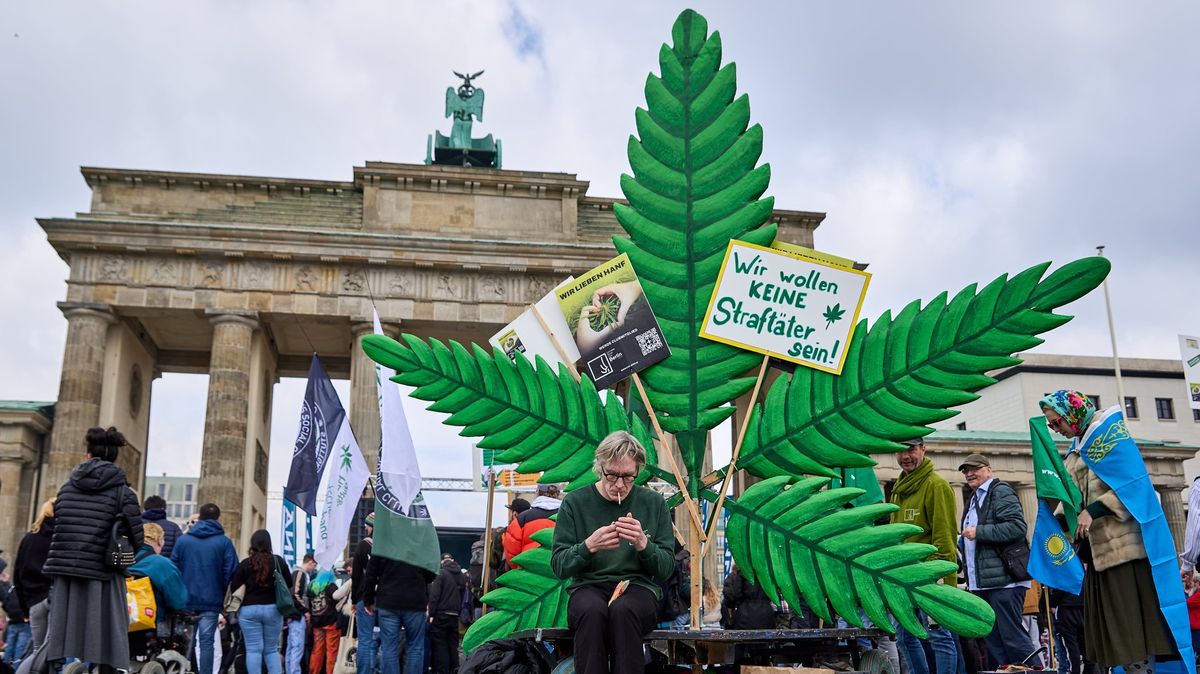 In Deutschland stimmten sie der teilweisen Legalisierung von Marihuana für Freizeitzwecke zu