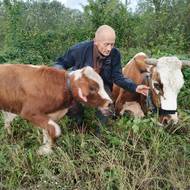 Jaroslav Havlík pomohl vyvézt z vody krávy. 