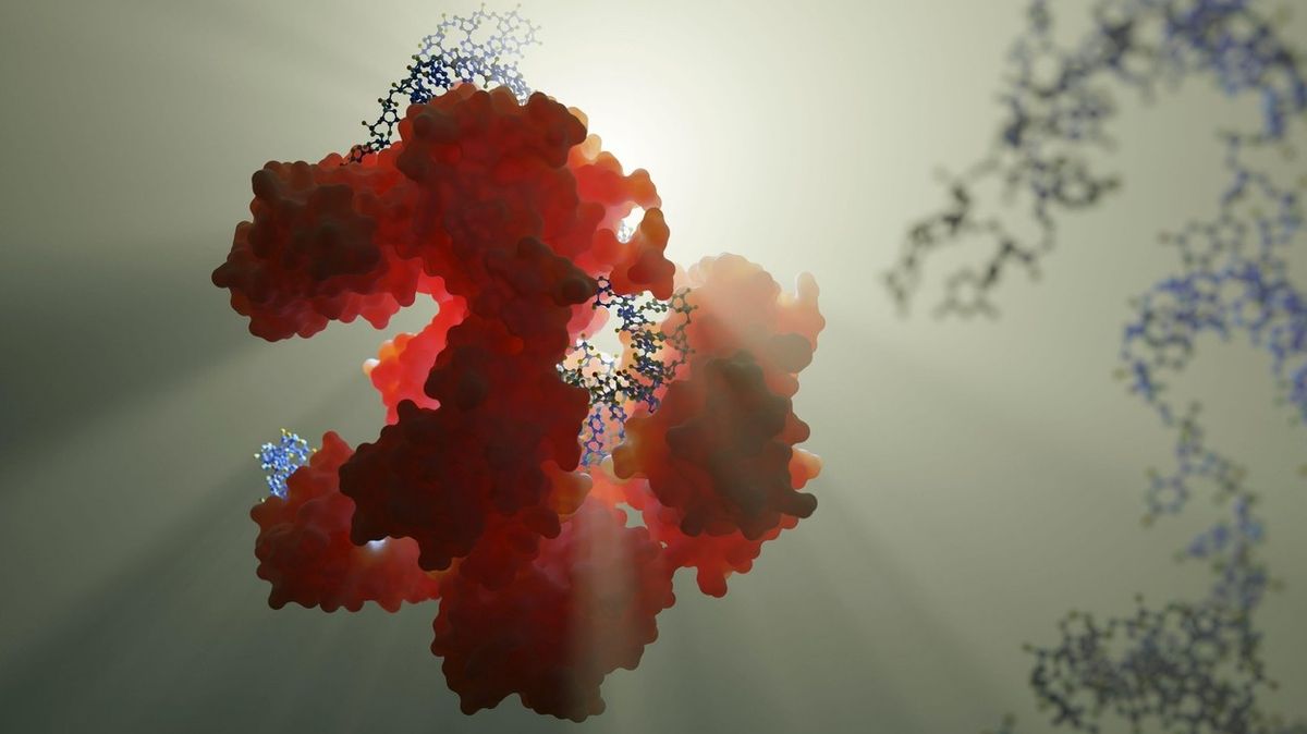 Vizualizace tzv. molekulárních nůžek CRISPR-Cas9