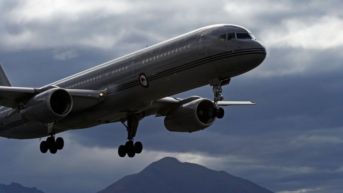 Na tragickém pádu Boeingu 757 před 25 lety se mohly podílet vosy