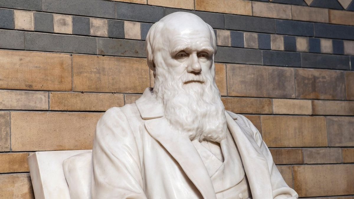 Socha Charlese Darwina v londýnském Přírodopisném muzeu