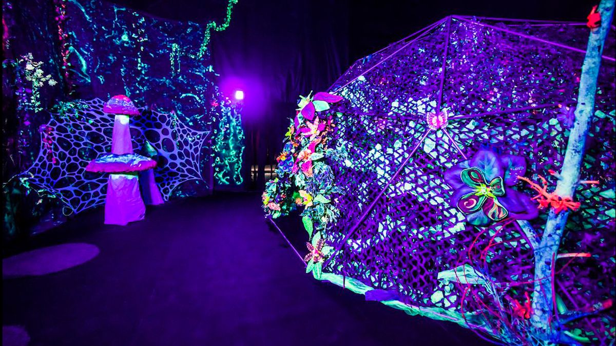 Výstava se skládá z dvanácti interaktivních světelných instalací.