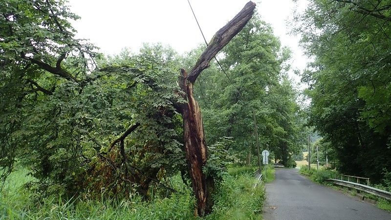 Dopravu na Jablonecku a Semilsku komplikují popadané stromy