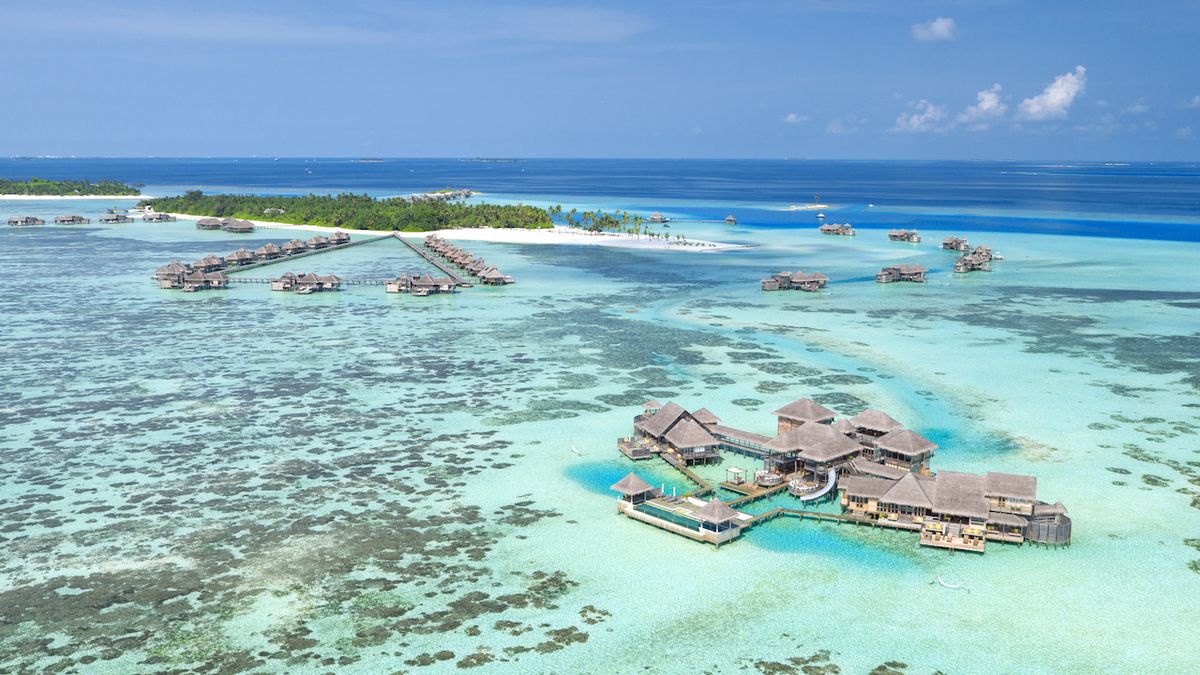 Zasaď v oceánu vlastní korál, lákají na Maledivách