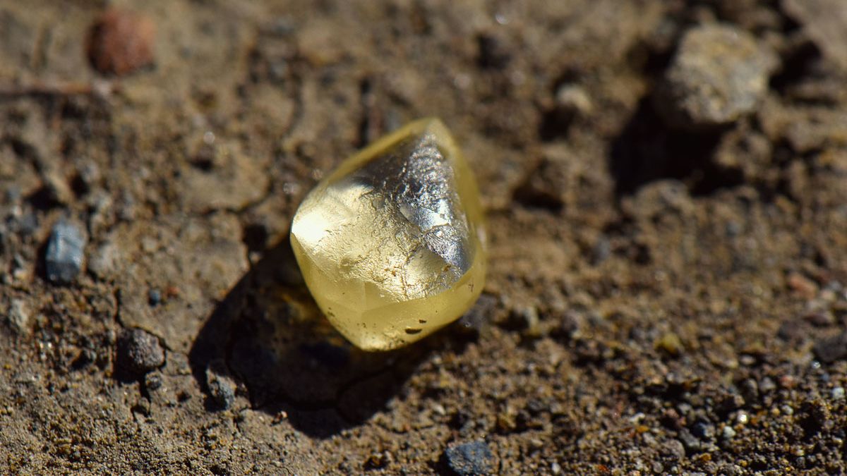 Při procházce národním parkem našla Američanka velký žlutý diamant