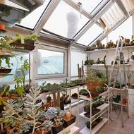 Horní terasa byla proměněna na skleník se sukulenty.