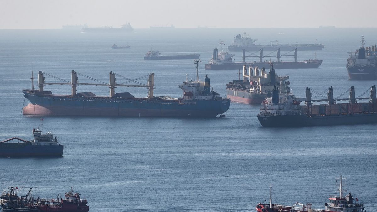Z ukrajinských přístavů vypluly lodě s obilím. Bez ohledu na Rusko