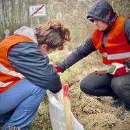 bezpečnostní hráze u silnic se musí neustále kontrolovat. Brání žábám v tom, dostat se na silnici.