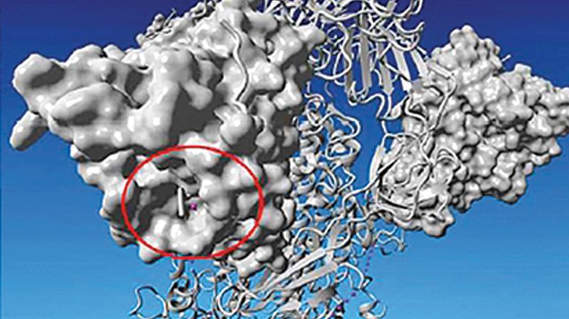 Nová mutace viru SARS-CoV-2