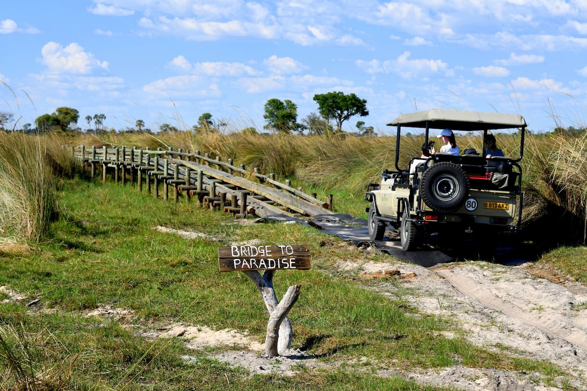 Přírodou delty řeky Okavango se proháníte v džípech bez skel. Pro fotografy ideální.