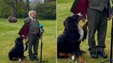 Hvězdou vystoupení nebyl irský prezident, ale jeho pes 
