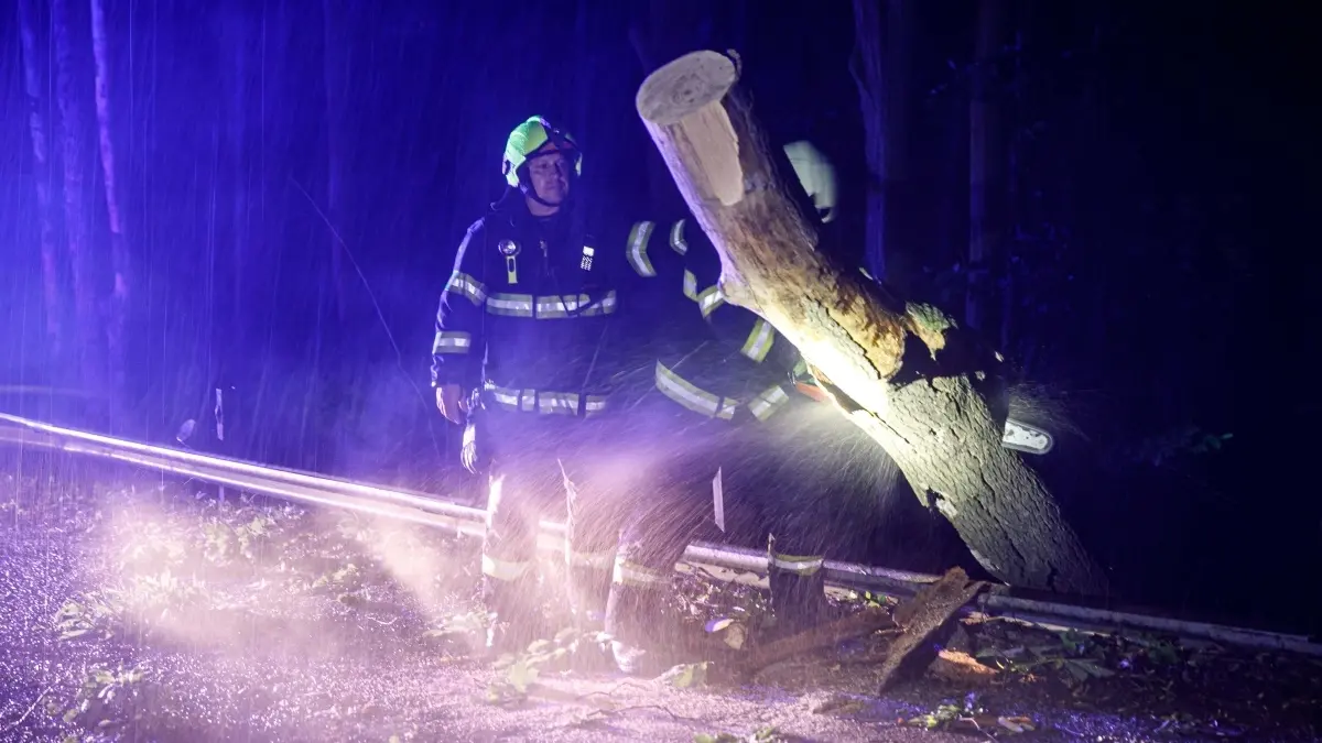 Nejčastěji hasiči na východě Čech vyjížděli k popadaným stromům.