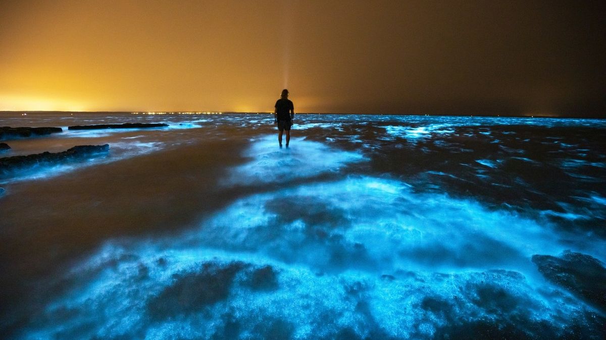 FOTO: Australský záliv září díky řasám modře. Jev má však i svá negativa