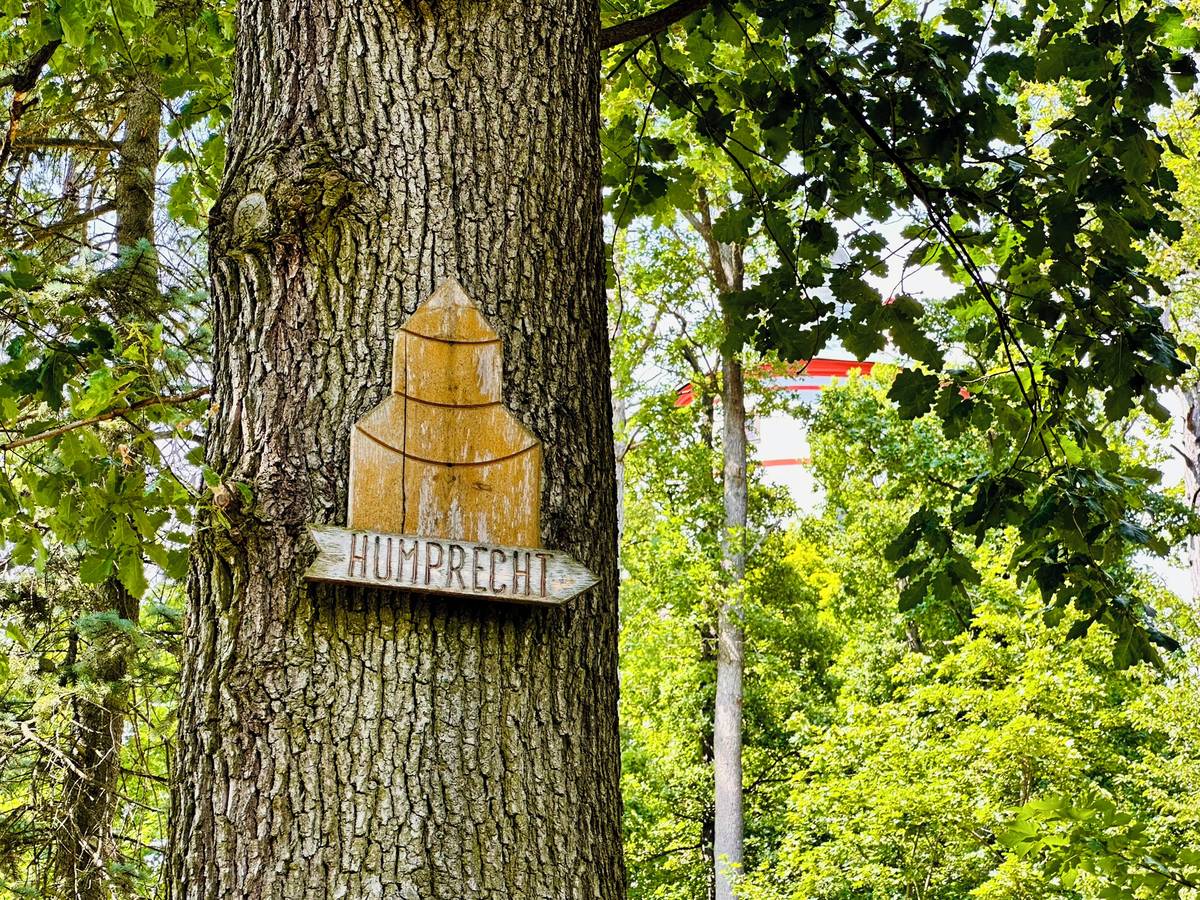 Z města Sobotka je to na Humprecht pár minut pěšky do kopce