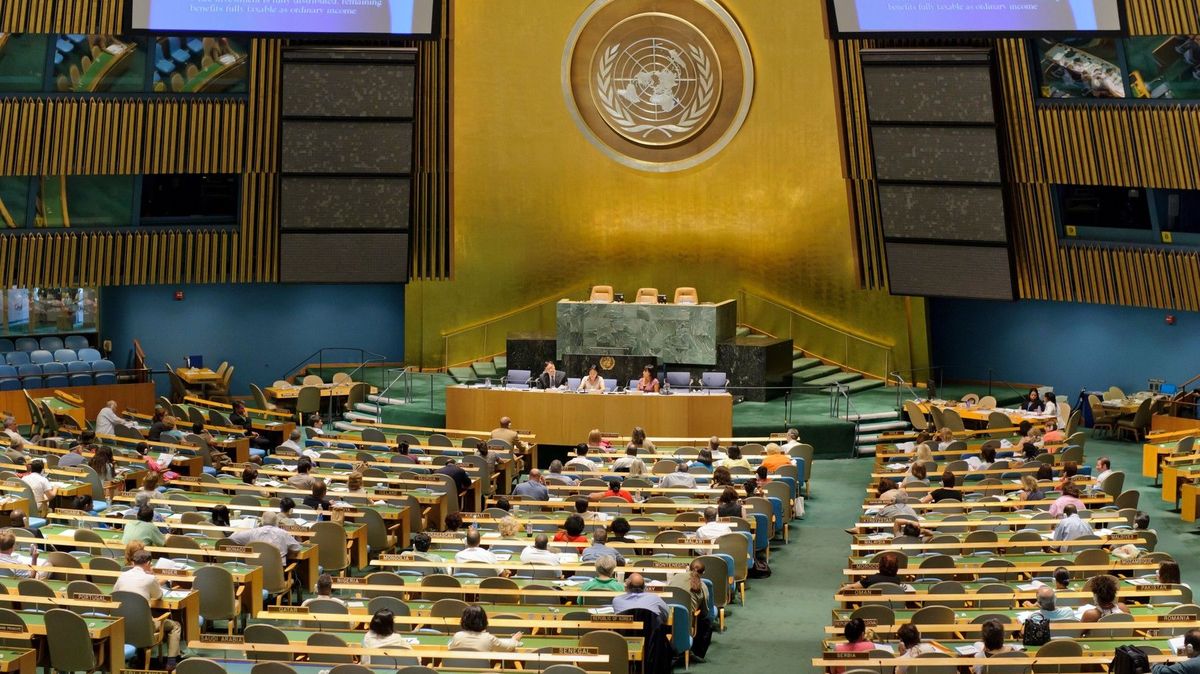 KVÍZ: Jak dobře znáte organizaci OSN?