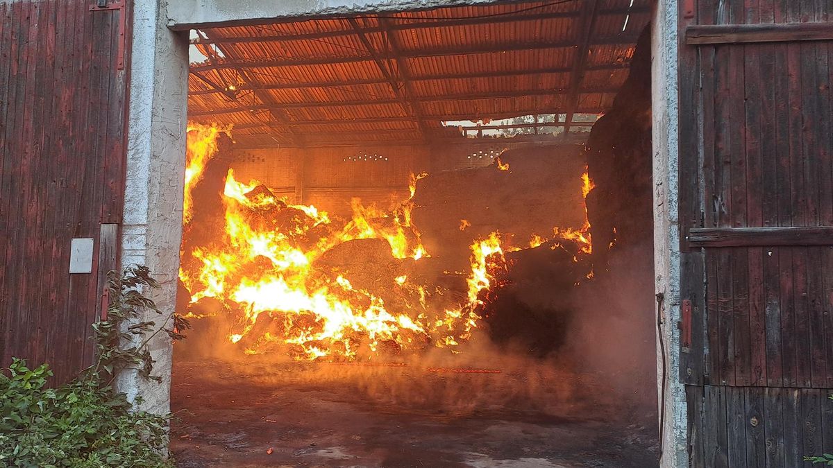 Na Mladoboleslavsku hořela hala se senem, zřejmě šlo o úmysl. Škoda osm milionů