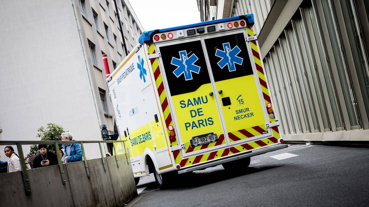 Muž v Paříži vyhodil své dvě malé děti z pátého patra a pak spáchal sebevraždu