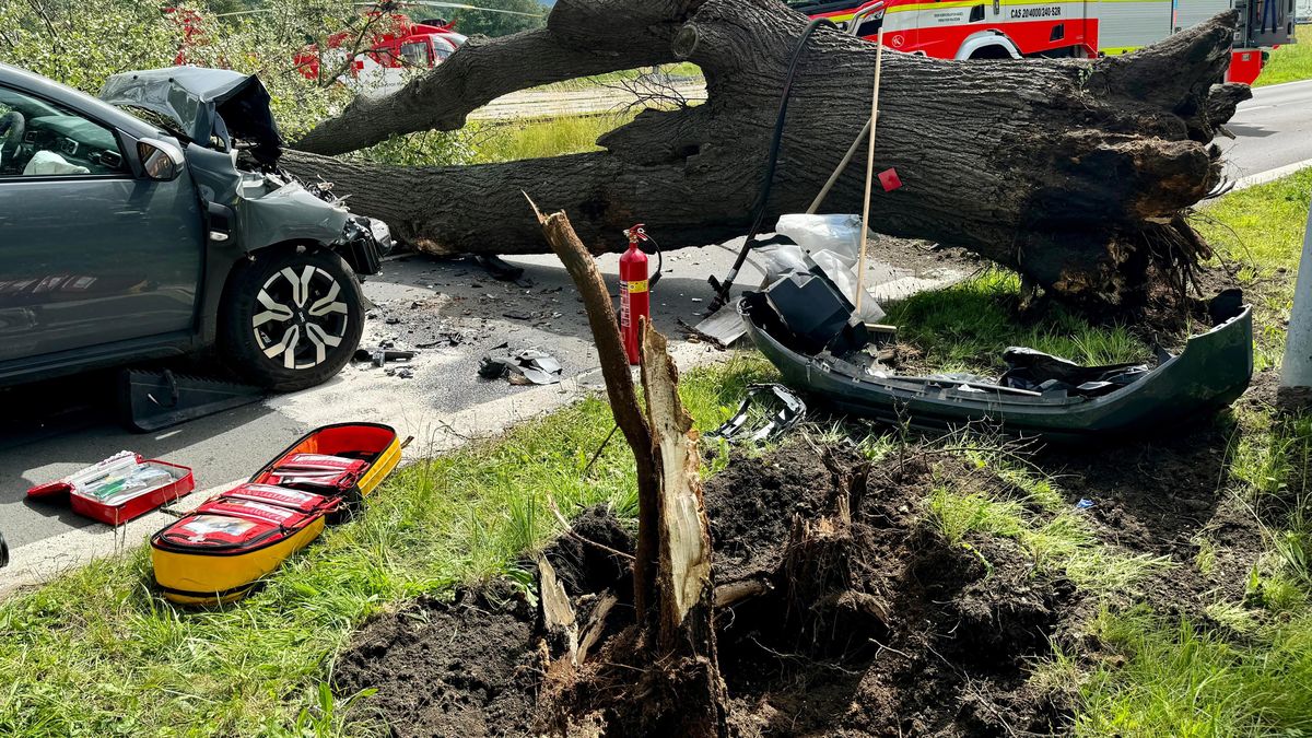 Strom na Bruntálsku spadl na projíždějící auto. Senior je v kritickém stavu